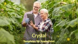  Presentation with agriculture greenhouse - Slide deck having couple with tablet pc computer background and a tawny brown colored foreground