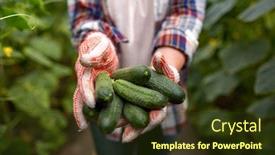  Presentation with agriculture greenhouse - Presentation theme featuring farming gardening agriculture and people concept - farmer with cucumbers at farm greenhouse background and a tawny brown colored foreground