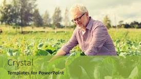  Presentation with farming - Cool new presentation with farming-gardening-agriculture-harvesting backdrop and a yellow colored foreground