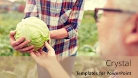  Presentation with agriculture - Amazing PPT theme having farming-gardening-agriculture-harvesting backdrop and a coral colored foreground