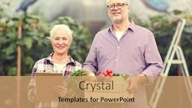  Presentation with agriculture greenhouse - PPT layouts enhanced with farming-gardening-agriculture-harvesting background and a coral colored foreground