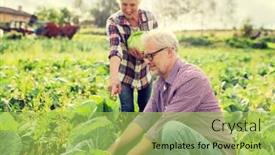  Presentation with senior couple - Slides enhanced with farming-gardening-agriculture-harvesting background and a yellow colored foreground