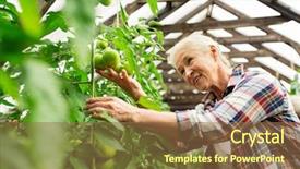  Presentation with agriculture greenhouse - Cool new PPT layouts with farming gardening agriculture old age backdrop and a tawny brown colored foreground