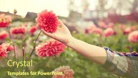  Presentation with summer flowers - PPT theme featuring farming-gardening-and-people-concept background and a tawny brown colored foreground