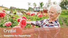  Presentation with summer flowers - Presentation having farming gardening and people concept background and a coral colored foreground