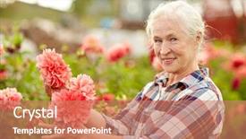  Presentation with farming - Amazing slide deck having farming gardening and people concept - happy senior woman with flowers blooming at summer garden backdrop and a coral colored foreground