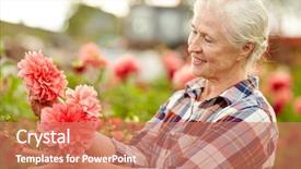  Presentation with summer flowers - Presentation enhanced with farming gardening and people concept - happy senior woman with flowers blooming at summer garden background and a coral colored foreground