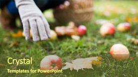  Presentation with farming - Slide deck with farming gardening harvesting and people background and a tawny brown colored foreground