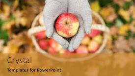  Presentation with farming - Beautiful PPT theme featuring farming gardening harvesting and people backdrop and a gold colored foreground