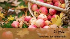  Presentation with farming - Presentation design featuring farming gardening harvesting and people background and a  colored foreground