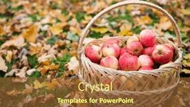  Presentation with farming - 