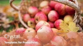  Presentation with farming - Colorful PPT layouts enhanced with farming gardening harvesting and people concept - close up of wicker basket with ripe red apples at autumn garden backdrop and a coral colored foreground