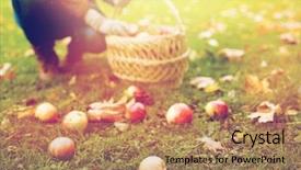  Presentation with people grief and mourning concept - Colorful PPT layouts enhanced with farming gardening harvesting and people backdrop and a coral colored foreground