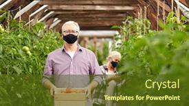  Presentation with old age - Presentation featuring farming-gardening-old-age background and a tawny brown colored foreground