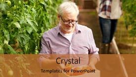  Presentation with crop - PPT theme enhanced with farming gardening old age background and a red colored foreground
