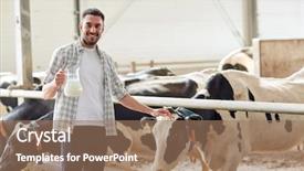  Presentation with animal husbandry - Slide deck enhanced with farming people and animal husbandry background and a coral colored foreground