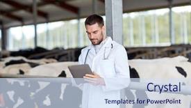  Presentation with computer agriculture - PPT layouts having farming people and animal husbandry background and a sky blue colored foreground