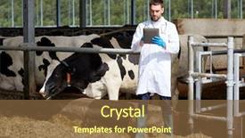  Presentation with computer agriculture - Slide set featuring farming people and animal husbandry background and a tawny brown colored foreground