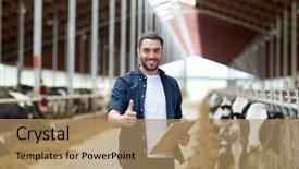  Presentation with animal agriculture - Slides featuring farming people and animal husbandry background and a coral colored foreground