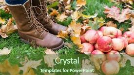  Presentation with farming - Presentation theme with farming season gardening harvesting and people concept - woman feet in boots with apples and autumn leaves background and a tawny brown colored foreground