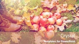  Presentation with farming - Audience pleasing PPT theme consisting of farming season gardening harvesting and people concept - woman feet in boots with apples and autumn leaves backdrop and a coral colored foreground