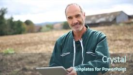  Presentation with tablets wood table tablet white - Beautiful theme featuring closeup mushroom-amanita backdrop and a tawny brown colored foreground