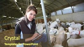  Presentation with digital farm - Audience pleasing PPT theme consisting of people animals - farmer woman using digital tablet backdrop and a tawny brown colored foreground
