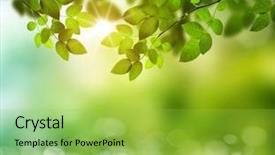  Presentation with art seascape nature sea - Presentation featuring farming vegetable - spring or summer season abstract background and a  colored foreground