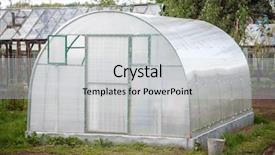  Presentation with greenhouse - PPT theme consisting of farming warming - small greenhouse with air vents background and a lemonade colored foreground