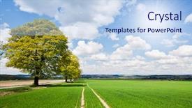  Presentation with farmland - Audience pleasing presentation theme consisting of milk shake in a glass beaker with carrot backdrop and a lemonade colored foreground