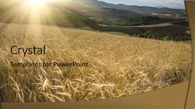  Presentation with farmland - Audience pleasing presentation theme consisting of farmland landscape in yunnan china backdrop and a gold colored foreground