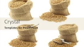  Presentation with bag - Presentation design enhanced with farro-grain-in-a-burlap background and a lemonade colored foreground