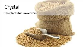  Presentation with bag - Beautiful PPT theme featuring farro-grain-in-a-burlap backdrop and a white colored foreground