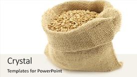  Presentation with bag - PPT theme having farro-grain-in-a-burlap background and a coral colored foreground