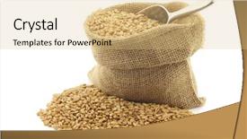  Presentation with bag - Audience pleasing slide set consisting of farro-grain-in-a-burlap backdrop and a coral colored foreground