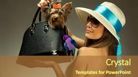  Presentation with bag - PPT theme enhanced with fashion accessories - profile of young glamor woman background and a red colored foreground