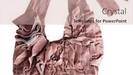  Presentation with bag - PPT layouts consisting of fashion-bag-from-rags background and a soft green colored foreground