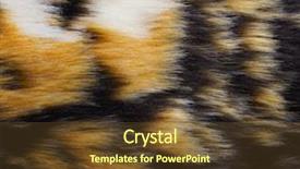  Presentation with artificial intelligence law - Presentation theme consisting of fashion fur artificial color fur background and a  colored foreground