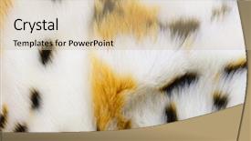  Presentation with artificial limbs - Presentation theme featuring fashion fur artificial color fur background and a soft green colored foreground