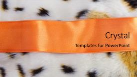  Presentation with color - Presentation consisting of fashion fur artificial color fur background and a  colored foreground