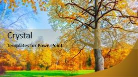  Presentation with gallery - Cool new slide deck with fashion gallery - golden frame backdrop and a gold colored foreground