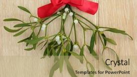  Presentation with red ribbon hiv - Colorful PPT layouts enhanced with fashion maganize - mistletoe with red ribbon bow backdrop and a  colored foreground