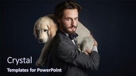  Presentation with dark blue - Theme consisting of fashion-man-and-dog-portrait background and a wine colored foreground