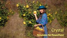  Presentation with plantation - Beautiful PPT layouts featuring fashion-woman-in-blue-dress backdrop and a tawny brown colored foreground