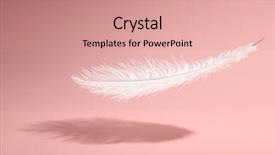  Presentation with minimal - Theme having fashion writer - feather on pink background minimal background and a coral colored foreground