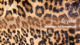  Presentation with pattern - Colorful presentation design enhanced with fashionable-leopard-seamless-pattern-fabric backdrop and a coral colored foreground