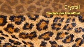  Presentation with pattern - PPT layouts consisting of fashionable-leopard-seamless-pattern-texture background and a tawny brown colored foreground