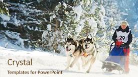  Presentation with dog sled - Colorful slide deck enhanced with fast furious - husky sled dog racing backdrop and a lemonade colored foreground