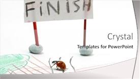  Presentation with ladybug - Presentation with fast ladybug racer run to finish background and a white colored foreground