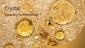  Presentation with adiposity mitochondria biology fat - Amazing PPT theme having fat spots on a frying backdrop and a yellow colored foreground